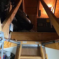 HCPImage_1762451430842 - S & B